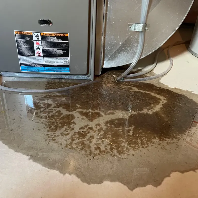 Appliance Leak Cleanup in Cumberland County, KY